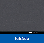 被膜表面 IchAda